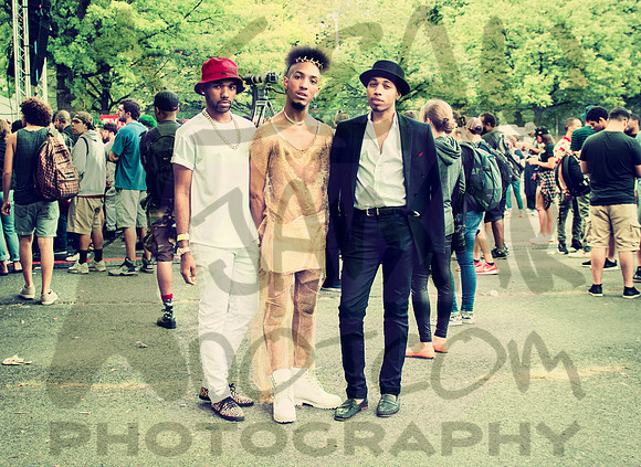 Afropunk Festival - Commodore Barry Park - BK USA - 2014