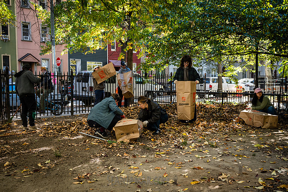 CPF Partnership For Parks - North Brooklyn Parks Alliance Garden