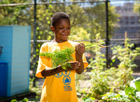 CPF Learning Gardens - Grove Hill Community Garden - NYC - 2019