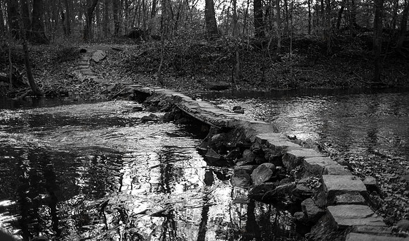 Adventure Day - Ramapo Mountain State Park - NJ - 2020