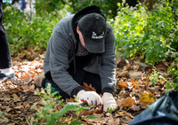 CPF Partnership For Parks - North Brooklyn Parks Alliance Garden