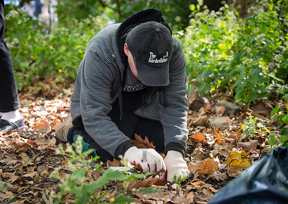 CPF Partnership For Parks - North Brooklyn Parks Alliance Garden