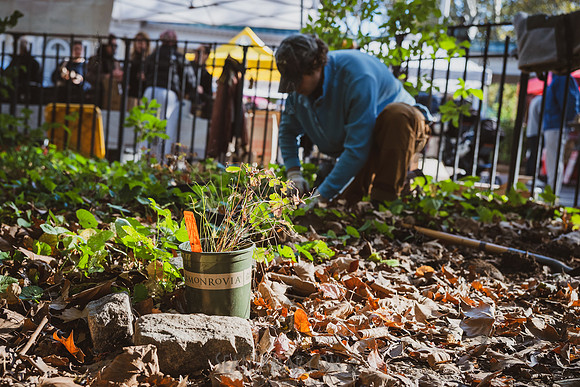 CPF Partnership For Parks - North Brooklyn Parks Alliance Garden