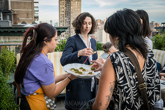 Science Society and Culture Summit - Simons Foundation - NYC - 2