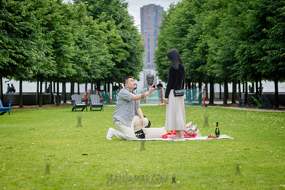 Wedding & Surprise Engagement