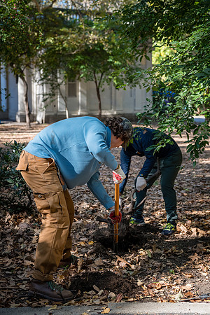 CPF Partnership For Parks - North Brooklyn Parks Alliance Garden