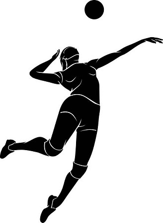 VOLLEYBALL