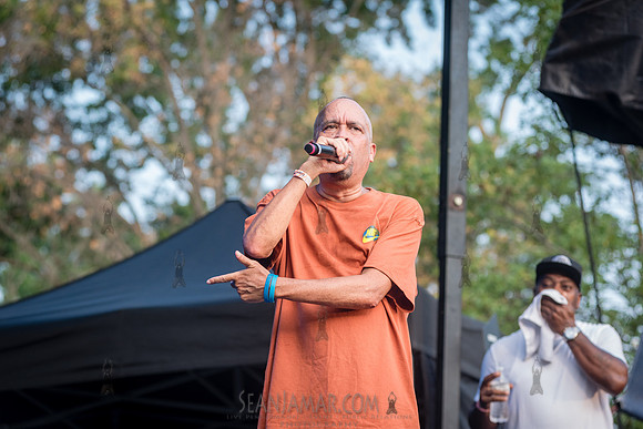 CPF SummerStage - Chuck Chillout 40th Radio Anniv - Crotona Park