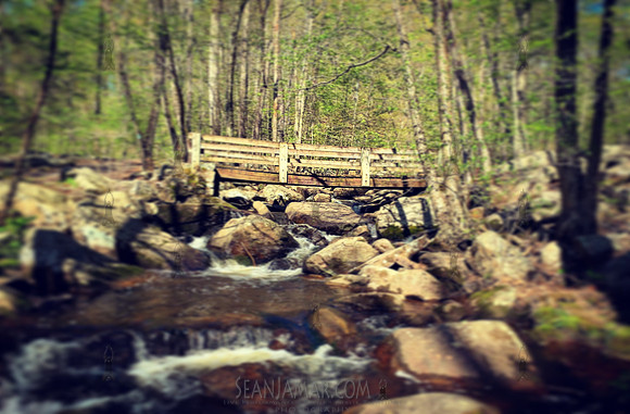 Hacklebarney County Park