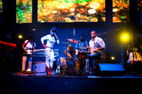 Water Seed - Stage 48 - NYC - 2014