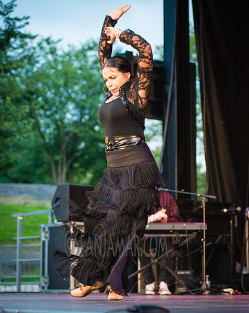 Nelida Tirado - Made in the Bronx presented by BAAD - St Marys Park - BX NYC - 2017