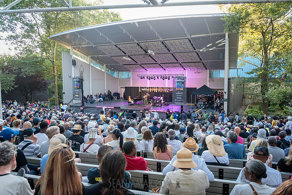 NYC SummerStage - Charlie Parker Jazz Festival - Branford Marsal