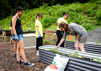 NYC Green Fund - Van Cortlandt Park Alliance Intern Training - V