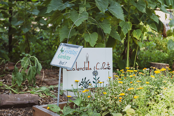 CPF Learning Gardens - Abib Newborn - NYC -2025