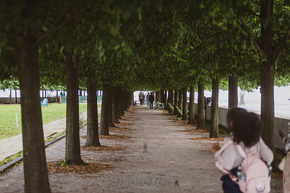 Dan Li Surpise Engagement - Four Freedoms State Park - NYC - 202