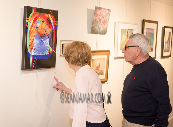 TCC - Through Our Eyes - Sandy Bennett Art Gallery - Bergen PAC - Englewood NJ - 2018