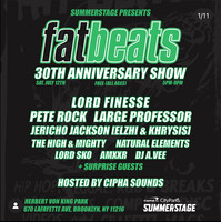 NYC SummerStage - Fat Beats 30th Anniversary - Herbert Von King Park - NYC - 2025