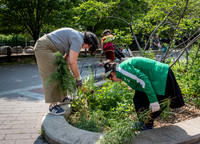 CPF - Coastal Classrooms - Bushwick Inlet Park - NYC - 2025