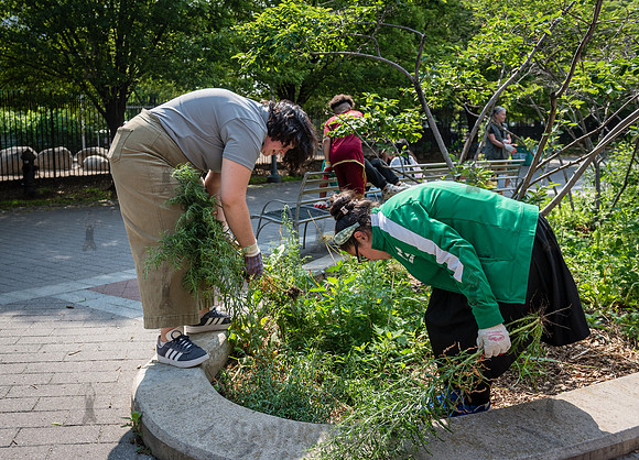CPF - Coastal Classrooms - Bushwick Inlet Park - NYC - 2025