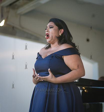 The Metropolitan Opera Summer Recital Series - Socrates Sculpture Park - Queens NYC - 2018