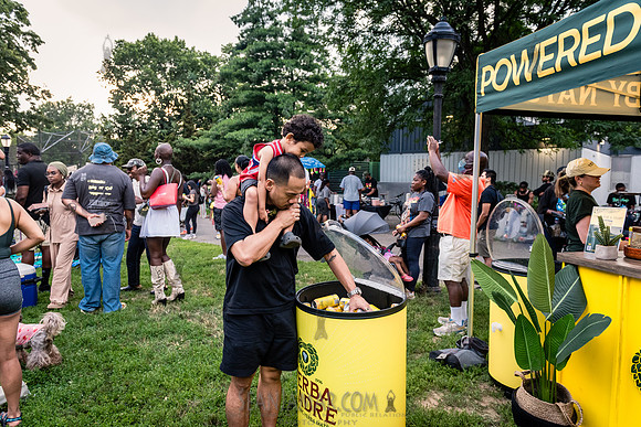 NYC SummerStage - Laila - Herbert Von King Park - NYC - 2025