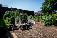 CPF Learning Gardens - Abib Newborn - NYC -2025