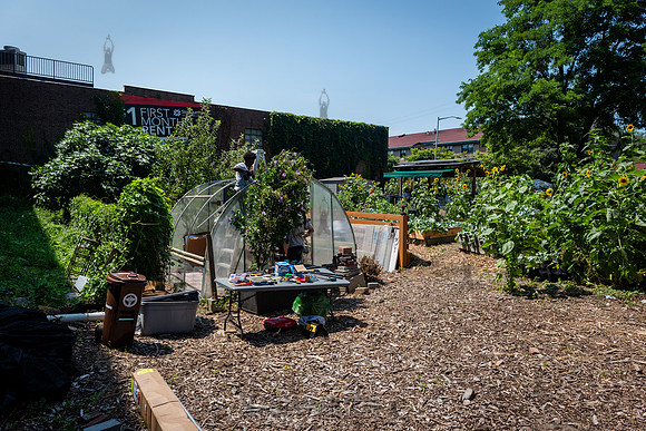 CPF Learning Gardens - Abib Newborn - NYC -2025
