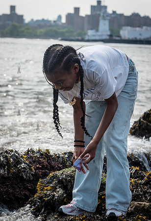 CPF - Coastal Classrooms - Bushwick Inlet Park - NYC - 2025