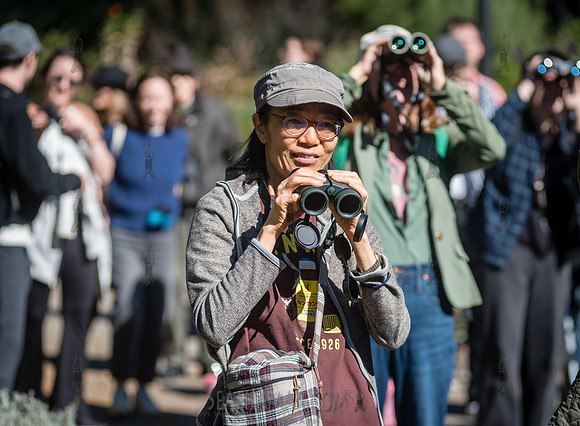 CPF Green Fund - NYC Bird Alliance Accessible Birding - Ft Tryon