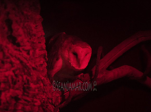 TCC - The Wildlife Center - Garfield NJ - 2018