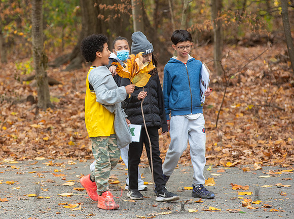 CPF Learn - Seeds To Trees - Prospect Park - NYC - 2024