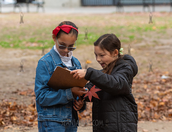 CPF Learn - Seeds To Trees - Prospect Park - NYC - 2024