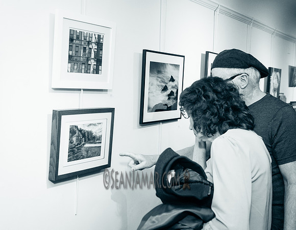 TCC - Through Our Eyes - Sandy Bennett Art Gallery - Bergen PAC - Englewood NJ - 2018