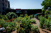 CPF Learning Gardens - Abib Newborn - NYC -2025