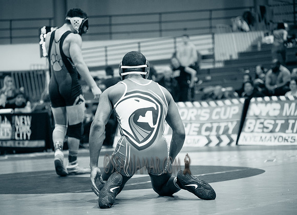 Mayors Cup - Wrestiling - York College - Queens NYC - 2017