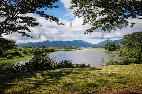 Dole Plantation - Leahi Beach Park