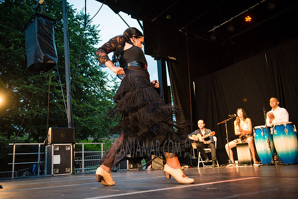 Nelida Tirado - Made in the Bronx presented by BAAD - St Marys Park - BX NYC - 2017