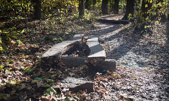 Adventure Day - Flat Rock Nature Center - Englewood Cliffs NJ -