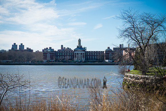 Adventure Day - Randalls Island -  NYC - 2017