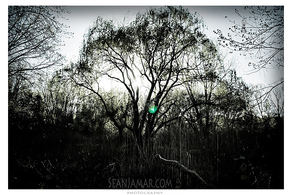 DSC_00631-Edit