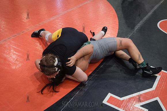 PSAL Girls Individual Championships - Harry S Truman HS - NYC -