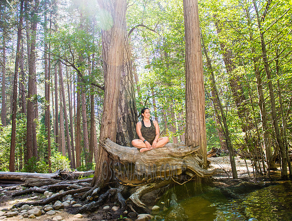 Adventure Day - Yosemite National Park - Yosemite Valley CA - 2017