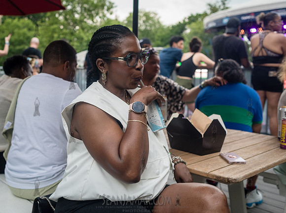 CPF SummerStage - T-Pains Mansion in Wiscansin Party - Rumsey Pl