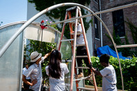CPF Learning Gardens - Abib Newborn - NYC -2025