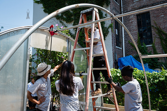 CPF Learning Gardens - Abib Newborn - NYC -2025