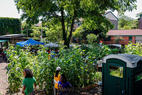 CPF Learning Gardens - Abib Newborn - NYC -2025