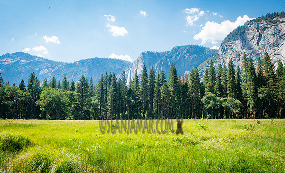 Adventure Day - Glacier Point - Yosemite National Park - Yosemite Valley CA - 2017