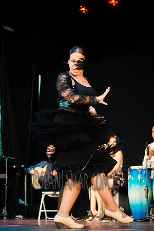 Nelida Tirado - Made in the Bronx presented by BAAD - St Marys Park - BX NYC - 2017