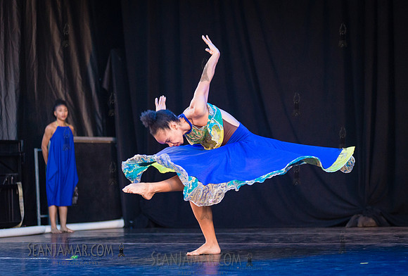 2019-06-21 2019-06-21 NYC SummerStage - Ronald K Brown Evidence A Dance Co - Von King Park - NYC-121.jpg