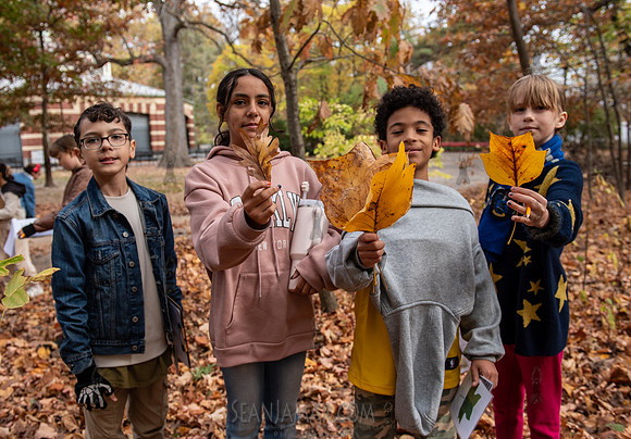 CPF Learn - Seeds To Trees - Prospect Park - NYC - 2024